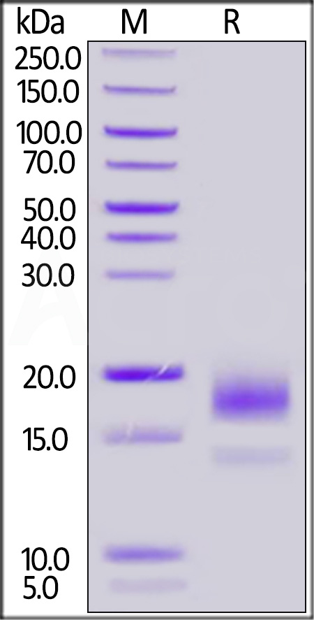 CD9-H82E3-sds