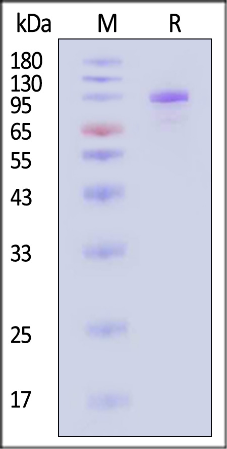 CO2-C82E7-sds