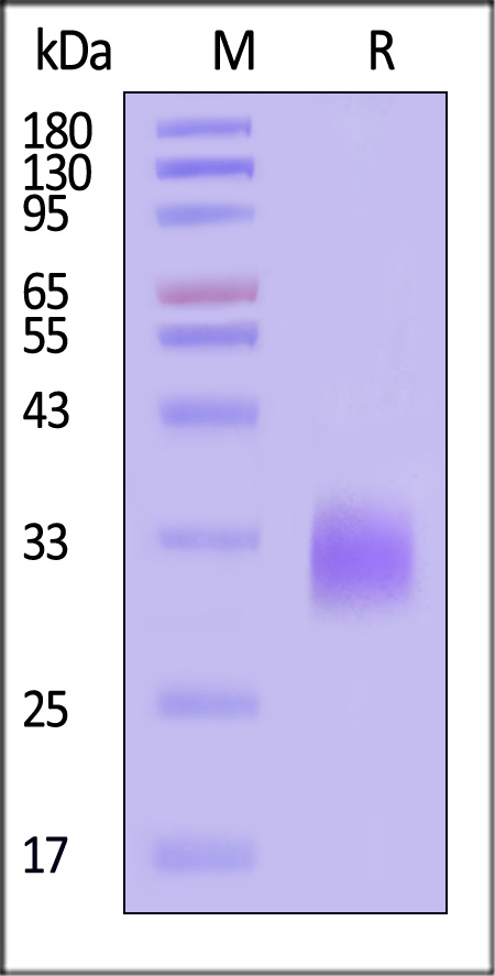 DR3-H82E3-sds