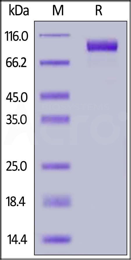 EGR-HF2H5-sds