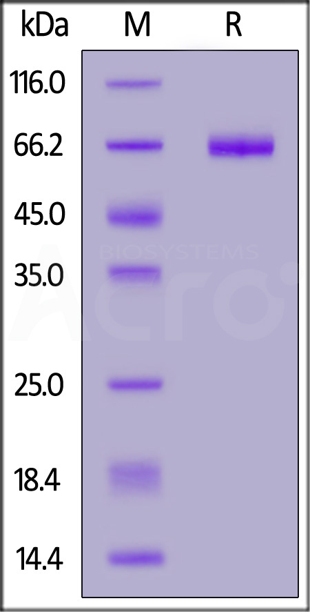 EPM-H5259-sds