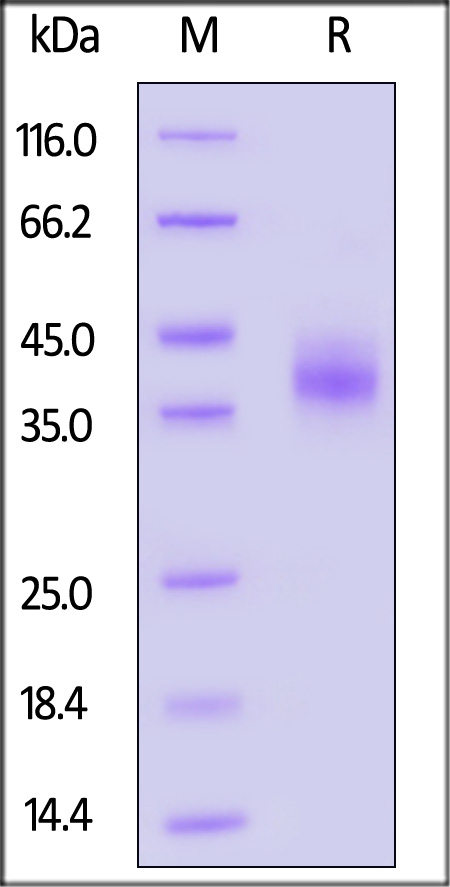 EPM-R82E3-sds