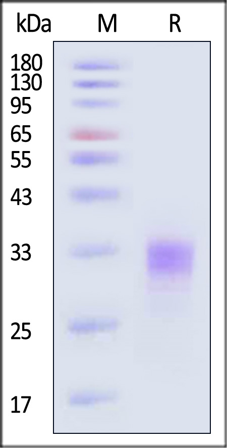 EPO-H4214-sds