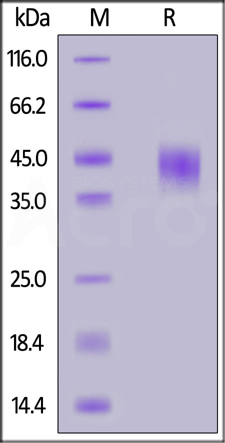 FC6-M82E0-sds