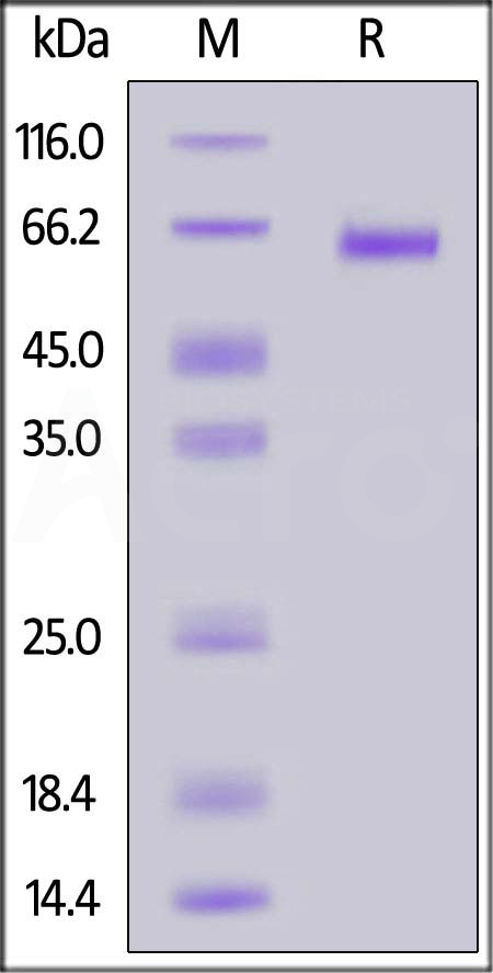 FUN-N52H3-sds