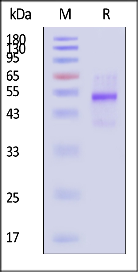 GD8-H82Q3-sds