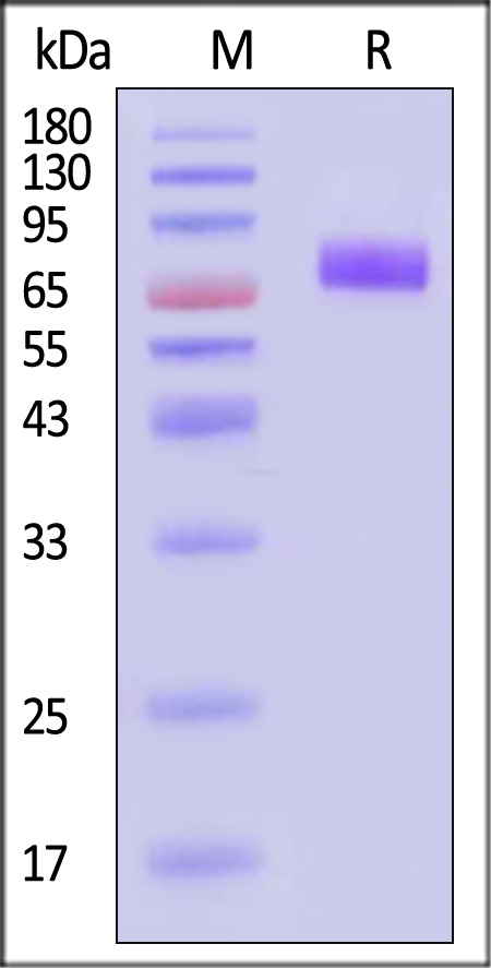 GHR-H82F3-sds