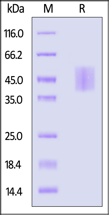 GHR-R52H9-sds