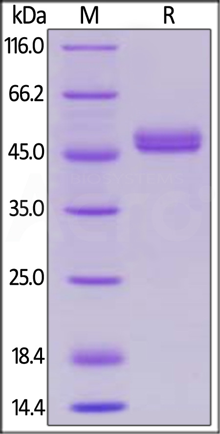 GIL-H82F8-sds