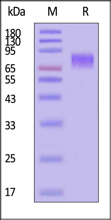 GUC-H82E9-sds