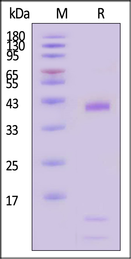 HLC-H52H9-sds