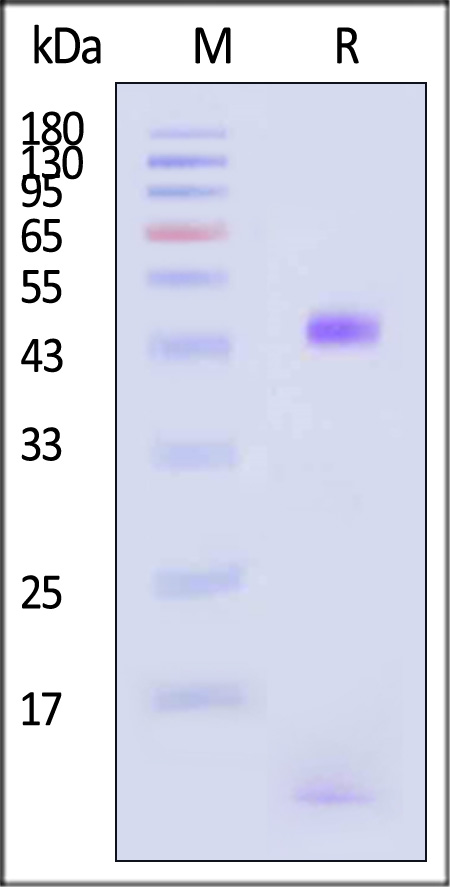 HLC-H82E5-sds