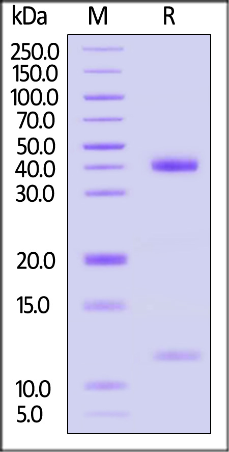 HLD-H82E5-sds