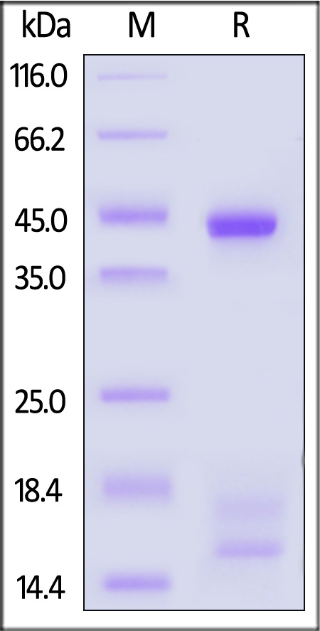 HLG-H82E6-sds