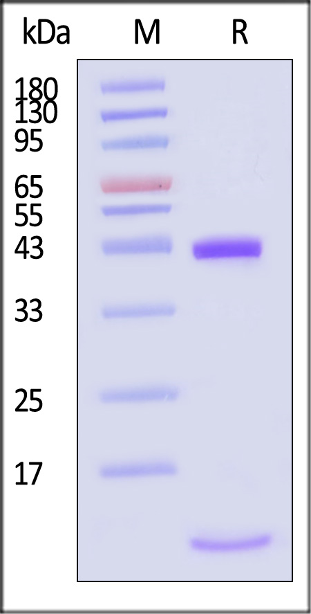 HLM-H82E3-sds