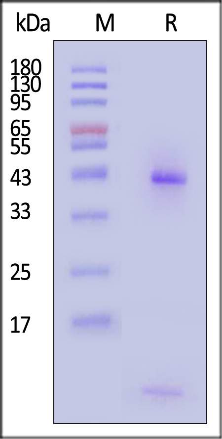 HLM-H82Eu-sds