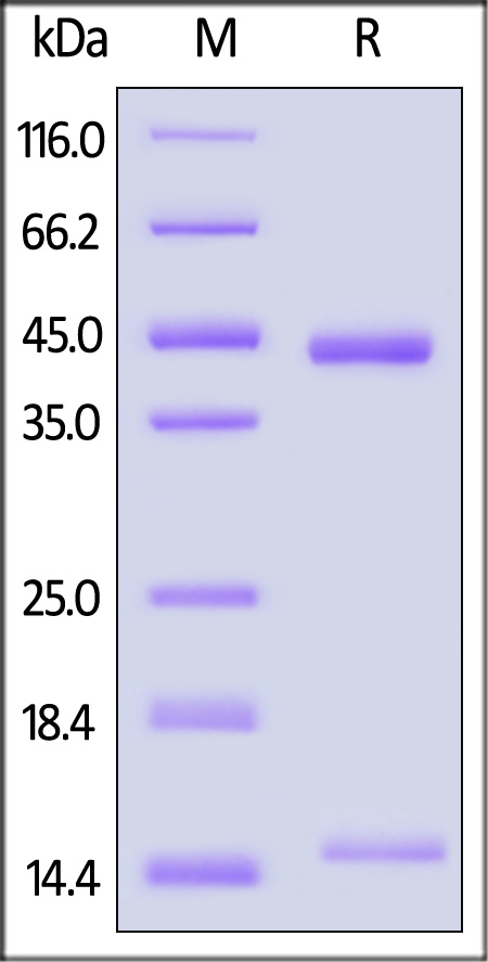 HLP-H82E5-sds