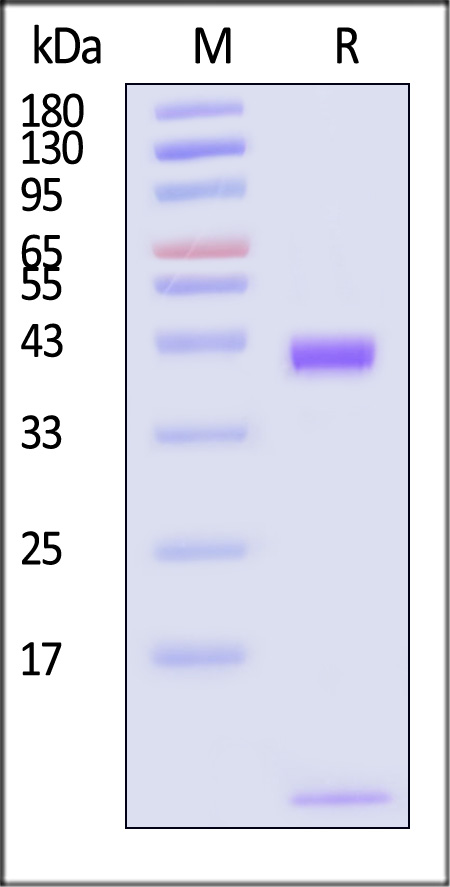 HLR-H82Ec-sds