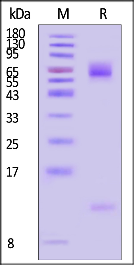 HLS-HA2H8-sds