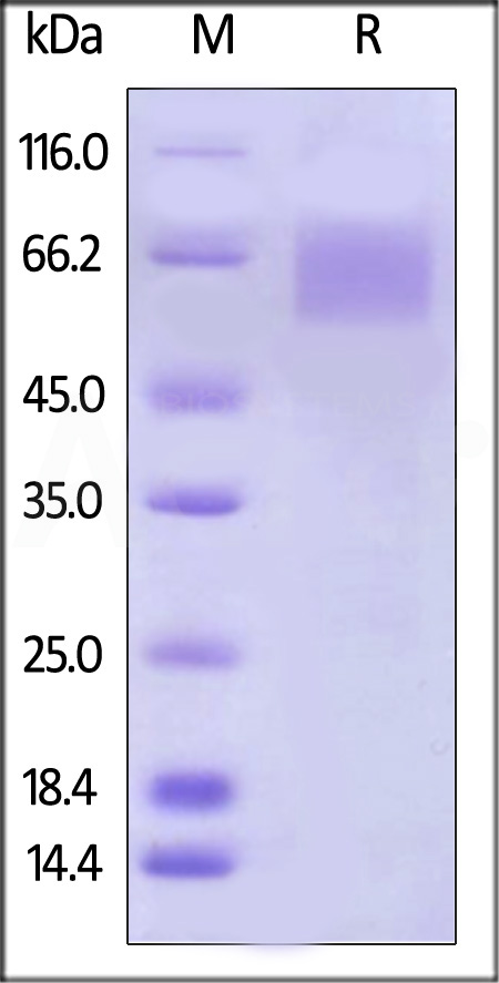 ILR-H82E5-sds