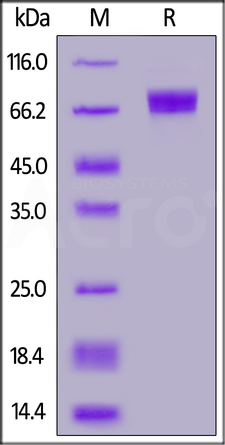 ILR-H82F4-sds