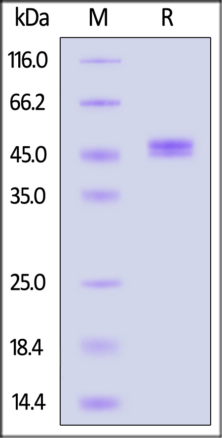 ILR-M52H9-sds