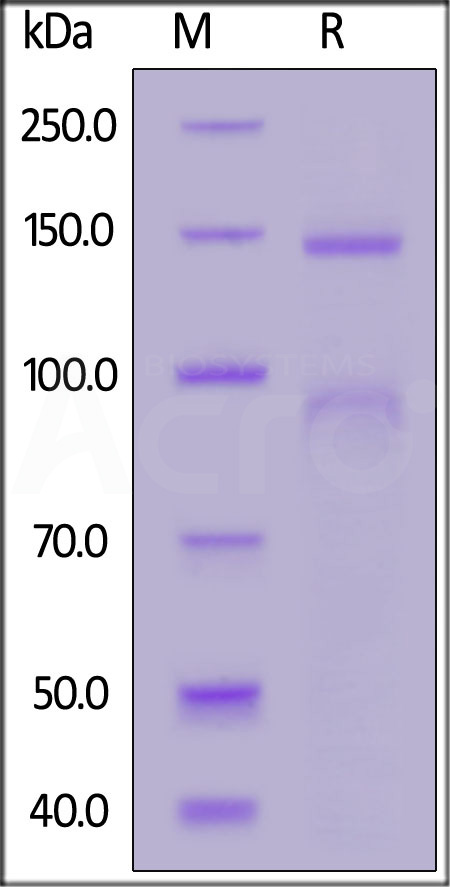 IT2-H52W3-sds