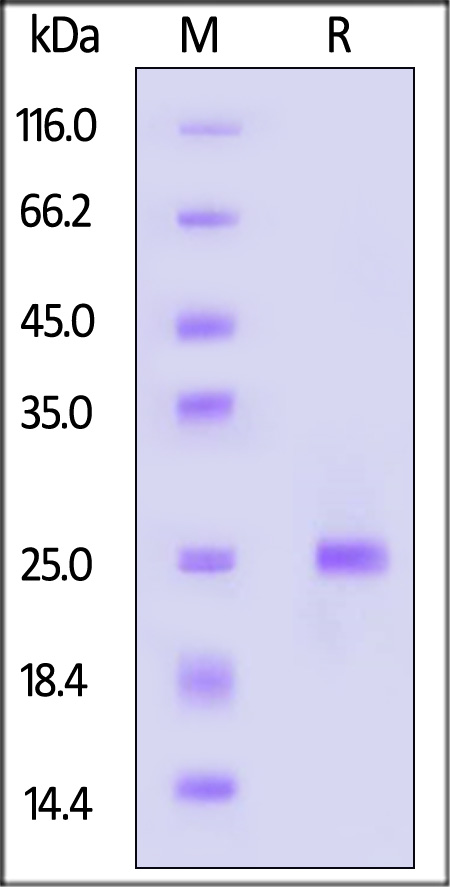 KRS-H5143-sds