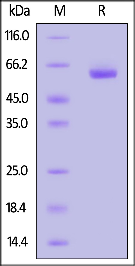 LA3-H82E9-sds