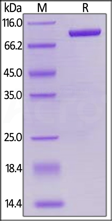 LA3-H82F3-sds