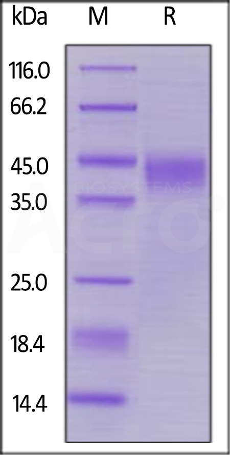 LIF-H82E2-sds