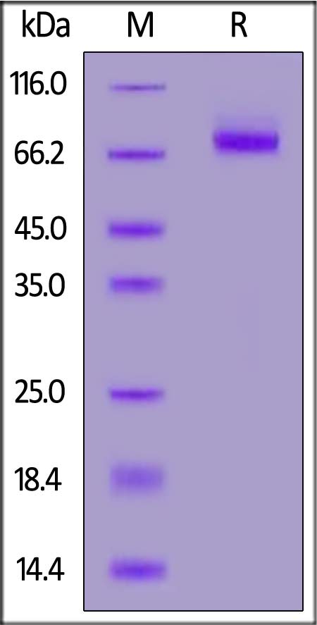 LR5-M5225-sds