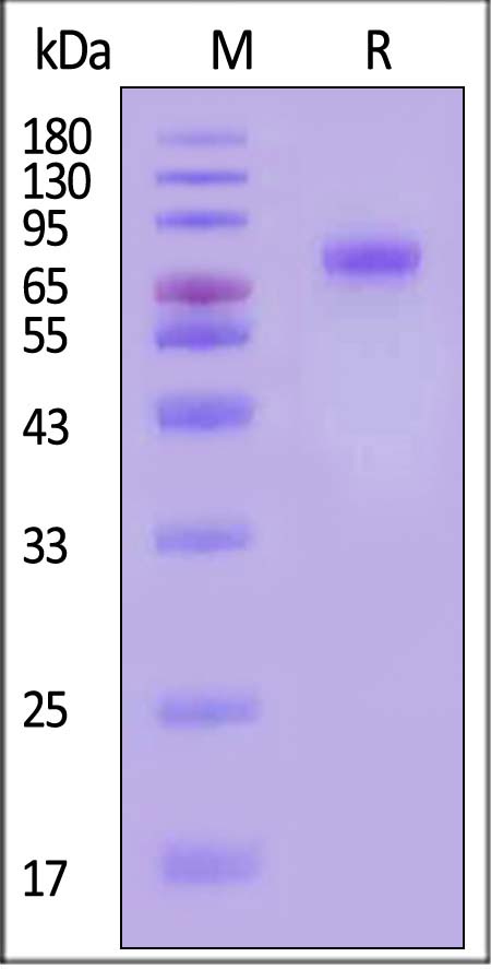 LR5-R82E3-sds