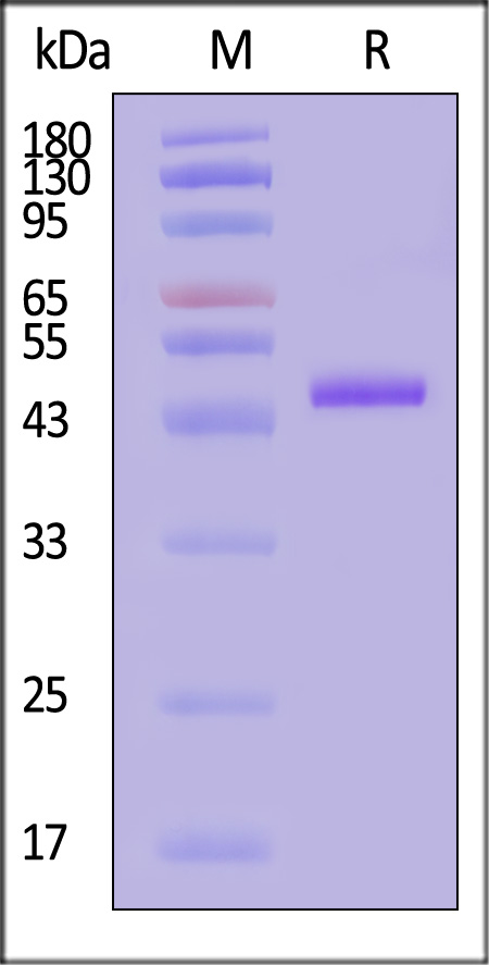 MAA-H51H3-sds