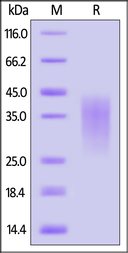 MIA-H82E4-sds