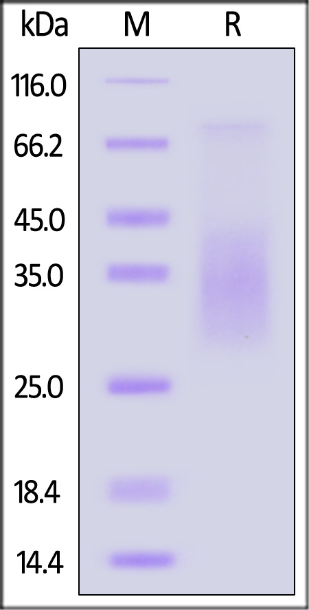 MIA-H82Q7-sds