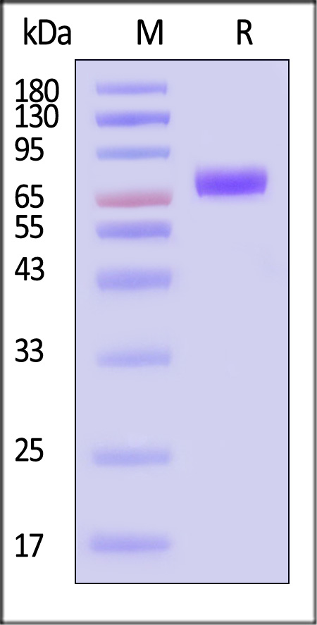 NP1-M52H3-sds