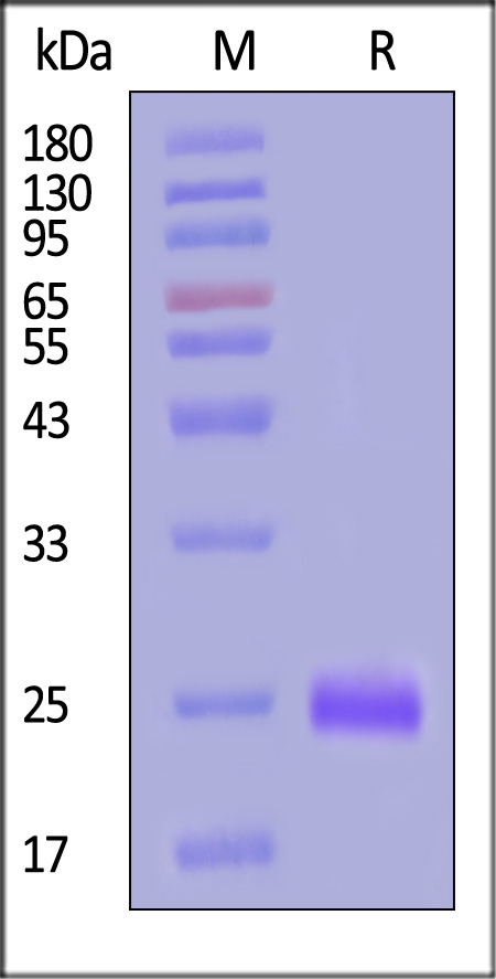 PC1-H5243-sds