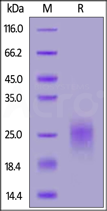 PSA-H82E3-sds