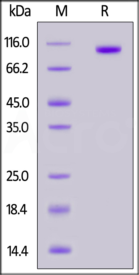 PT7-M52H3-sds