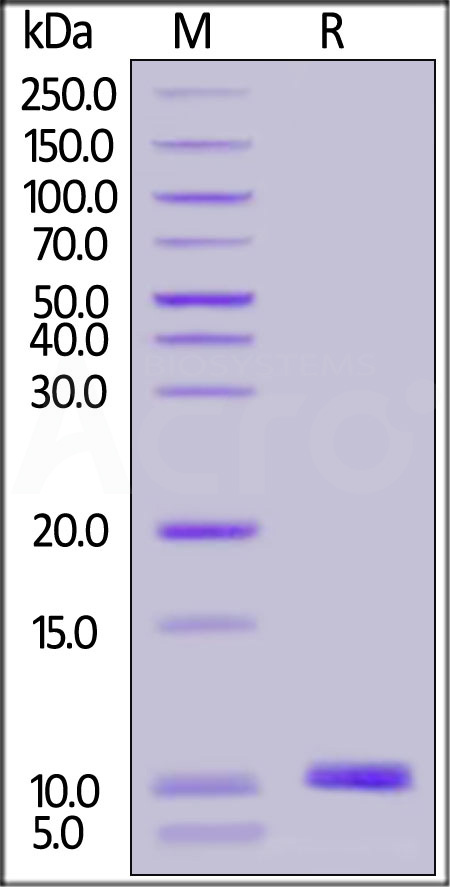 S16-H5111-sds