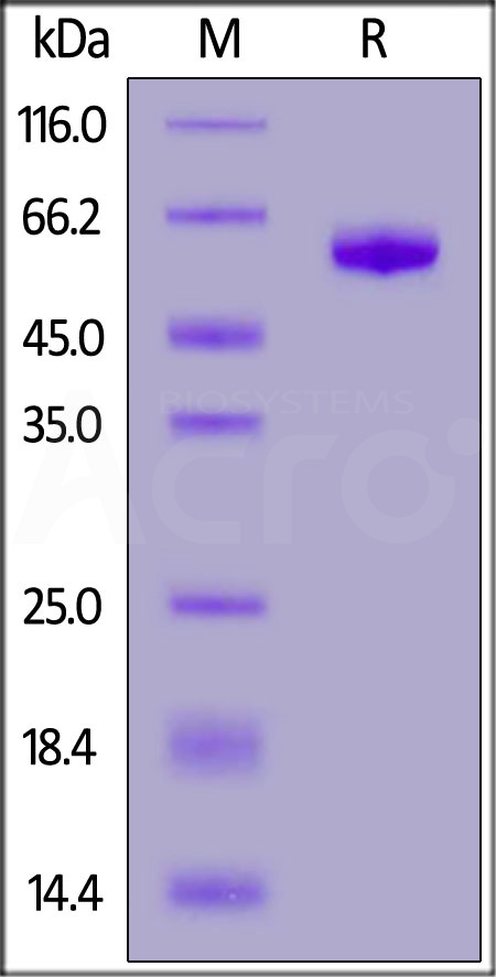 SG5-H5254-sds