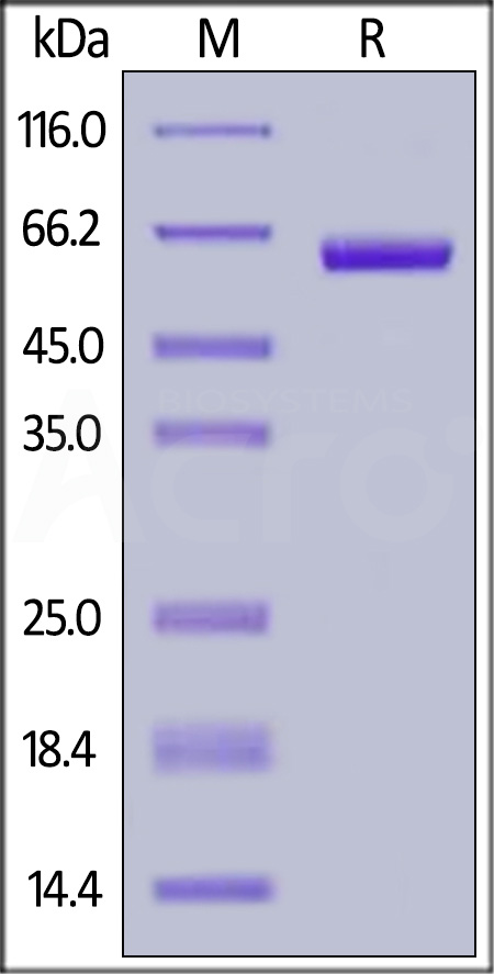 SG5-H82F5-sds