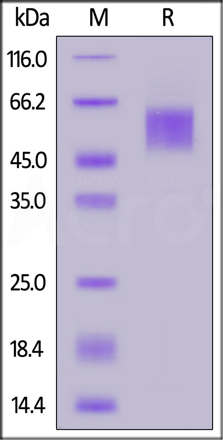 SPD-C82H3-sds