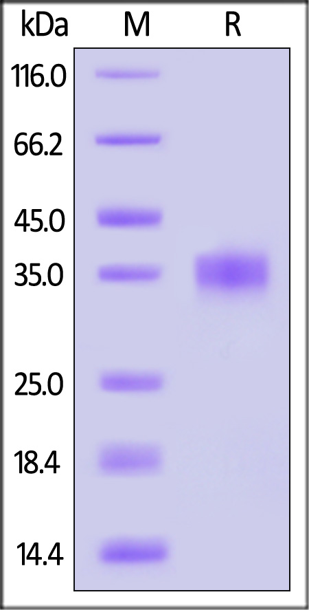 SPD-C82Q0-sds