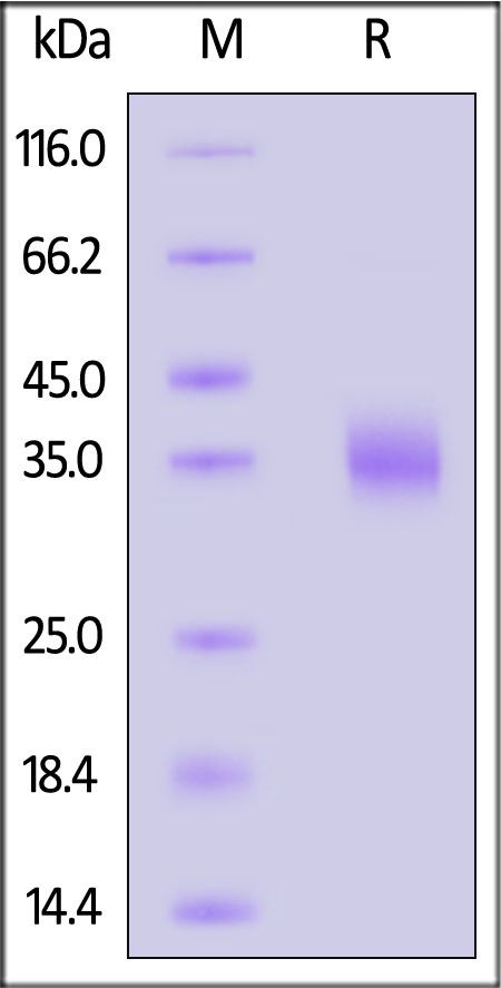 SPD-C82Q1-sds