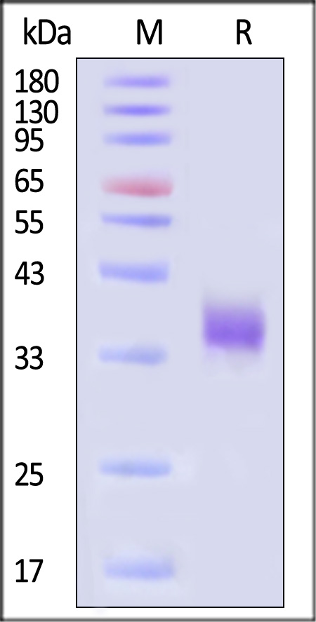 SPD-C82Q4-sds