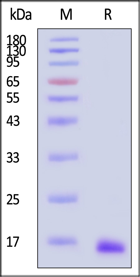 TAU-H5114-sds