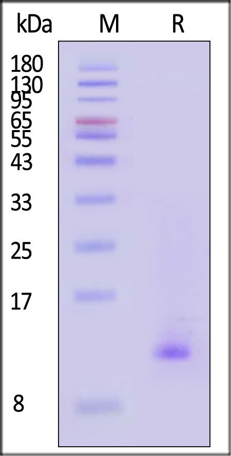 TG3-H5213-sds