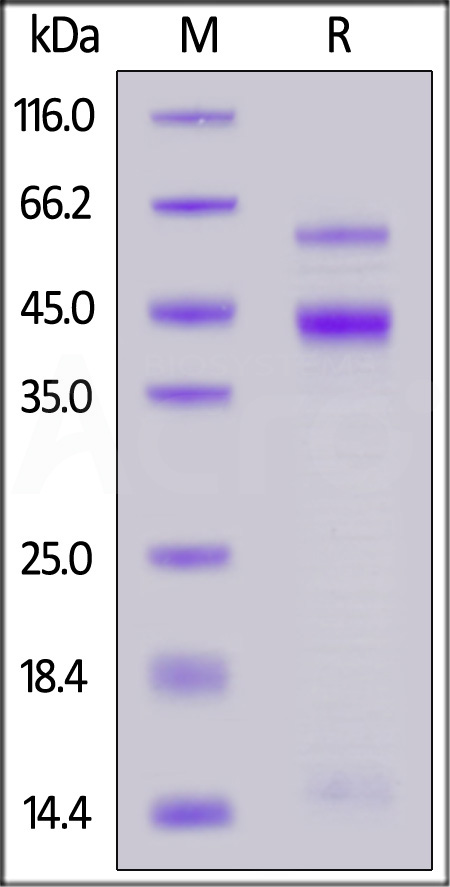 TG3-H82E6-sds